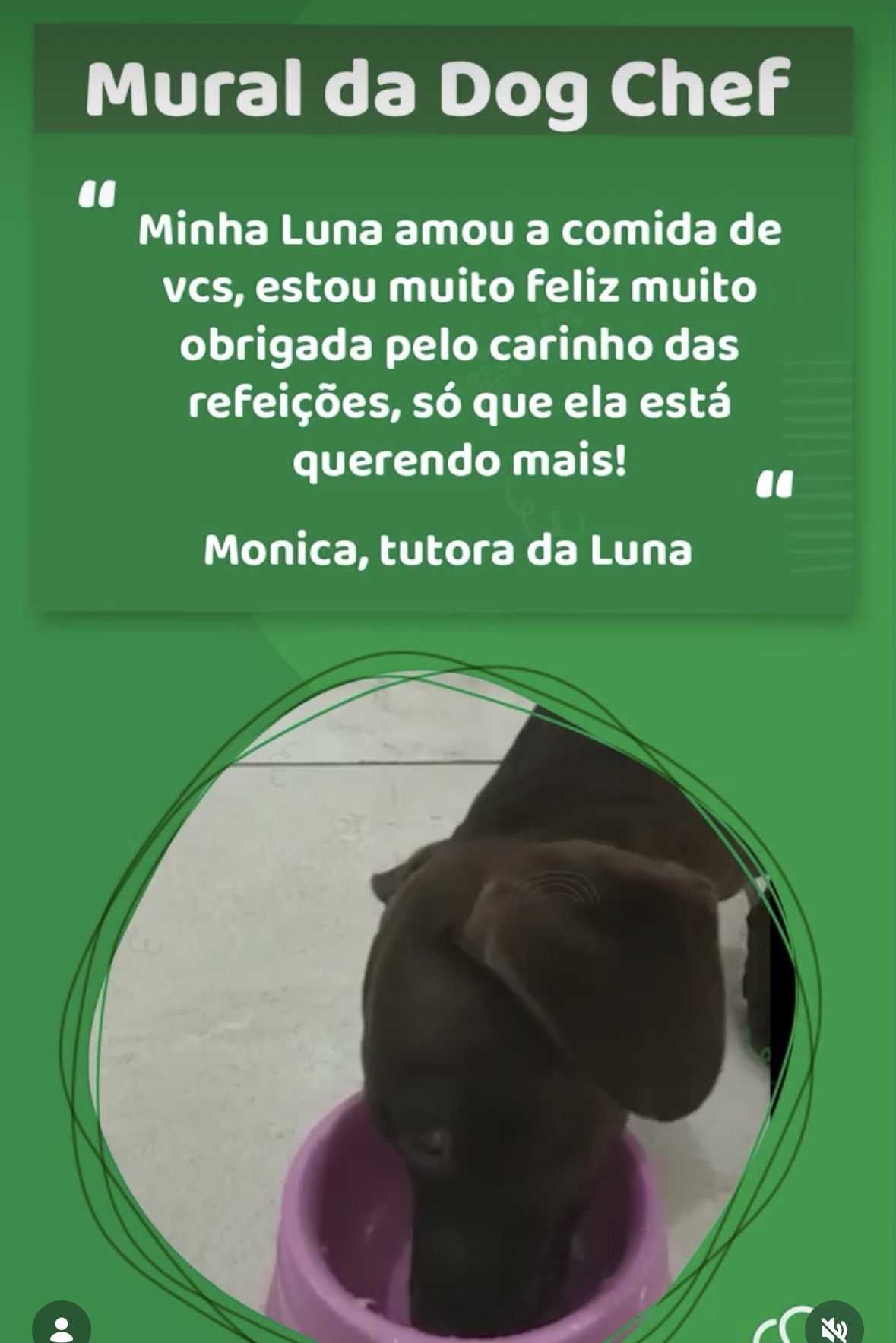 Relato real de Monica sobre a cadela Luna